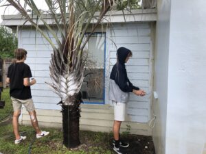HomesUnited kids Beautifying houses